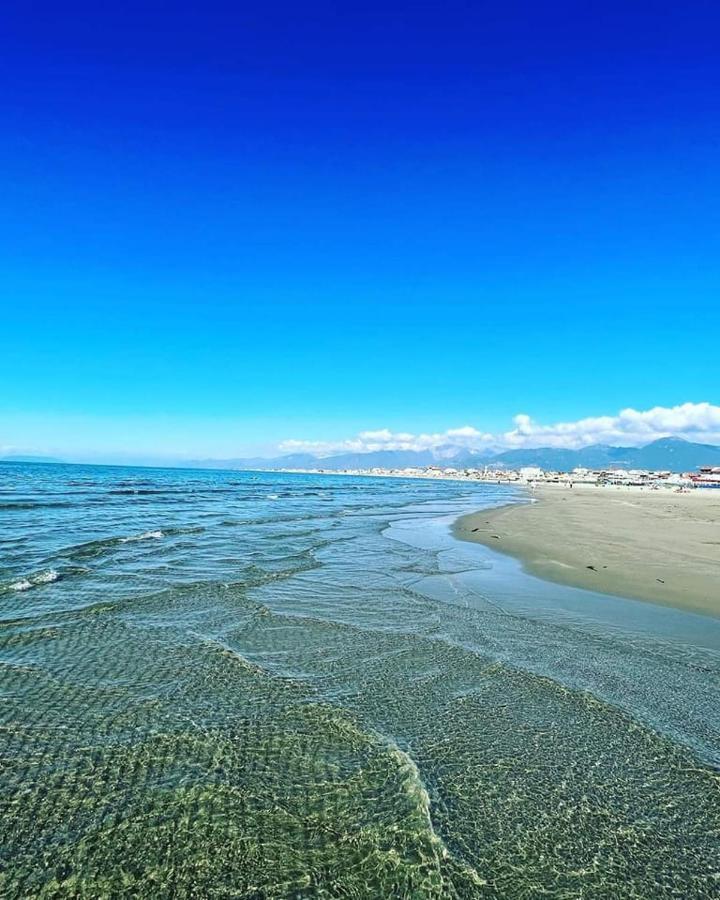 Hotel Pardini Viareggio Eksteriør bilde